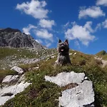 Ξενοδοχείο Erzhorn 2*