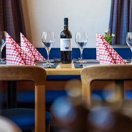 Erzhorn Hotel Arosa