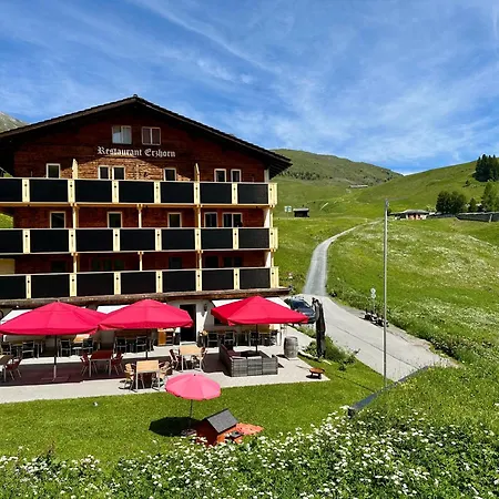 Hotel Erzhorn 2*