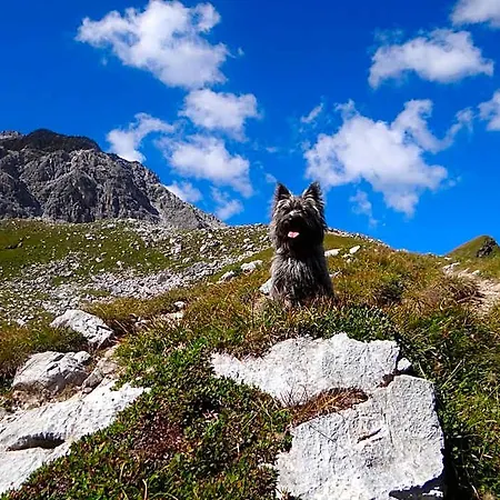Erzhorn Arosa