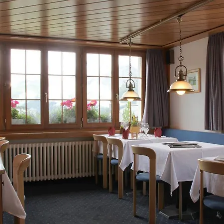 Hotel Erzhorn Arosa
